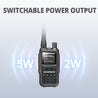 UV-5R Mini